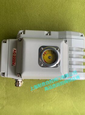 -Y40PZ电动执行器20P-Y0-Y小型10YP0-ZPPZY Z  精10 20- Z