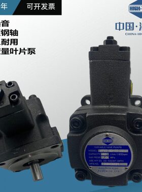 量P油泵H10款V2变CHH55--/E-7020克叶片泵海4030I圆--V壳T35-特G