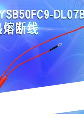 熔断C106热Y保险管FY0配件电压力锅SB85070热敏86保险丝线温度SC-