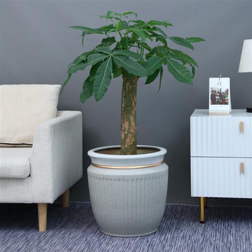 超大码陶瓷花盆落地庭院u台发财树龟背竹幸树种树特大花盆包邮