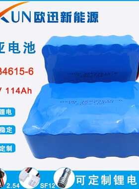 厂家供应 支持加工锂亚电池组 4ER34615-6 大容量14.4V 114000MAh