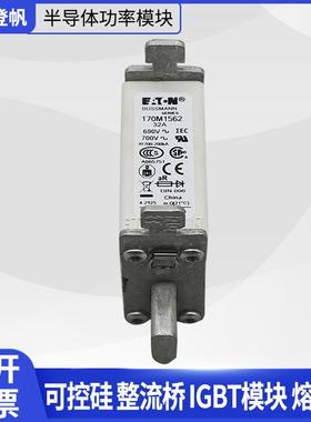 巴斯曼熔断器170M1561/170M1562/170M3117 /170M6814/170M4145
