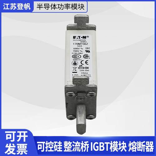 巴斯曼熔断器170M1561/170M1562/170M3117 /170M6814/170M4145