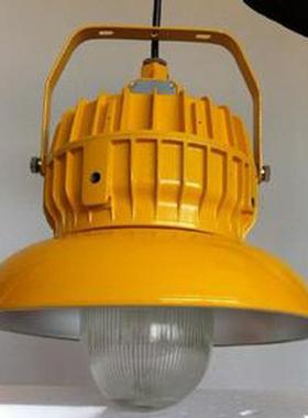 GTB8710系列防爆平台灯 B-BPC8710隔爆型防爆平台灯（IIC）