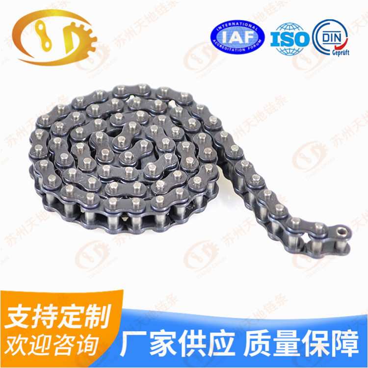 双排传动链 传动滚子链 24B-3传动链厂家 3分三排链条