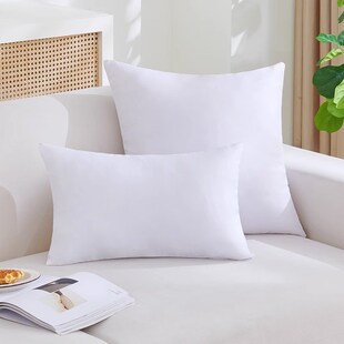 抱枕芯儿内胆内芯靠垫l芯45x45 30x50 50x50腰枕心沙发客厅靠枕芯