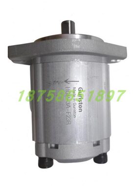 23/4RDPP2021PR4P6P20/6/RP/P20/P2258RP9R211/P/0210211/齿轮泵R
