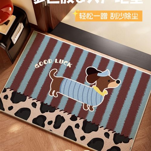 2025新款帘帘好运入户玄关门口C地垫进门外家用地毯高级感耐脏防