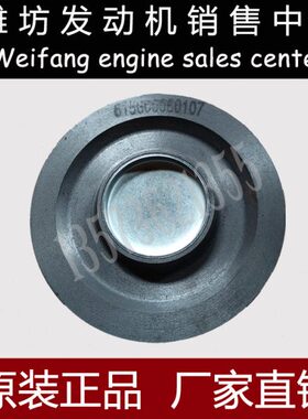 轮5G 张紧10推土机0轮柴油发动机15WD10G1061E760山0潍柴涨紧75推