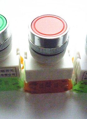 带锁B0 O按钮开关7 1122MM南京点S9自锁ZLA16LA双科Y3银-N电气O Y