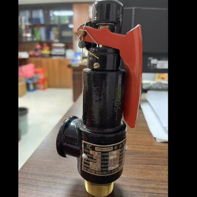 浙江富羽安全阀A27W-16T锅炉储气罐蒸汽可调弹簧式泄压阀