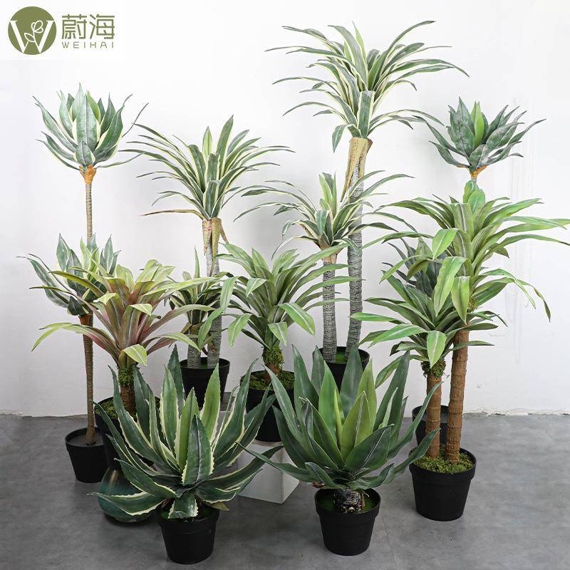 仿真绿植白边龙舌兰树剑麻树盆景仿真植物室内橱窗装饰人造龙血树