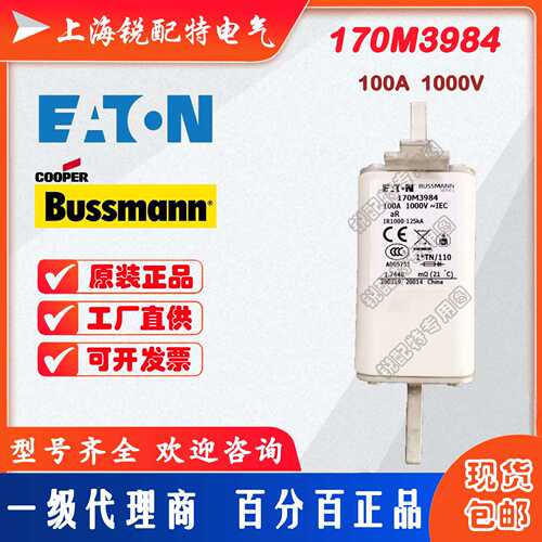 170M3984 快速熔断器 1000V 100A  巴斯曼BUSSMANN快速熔断器