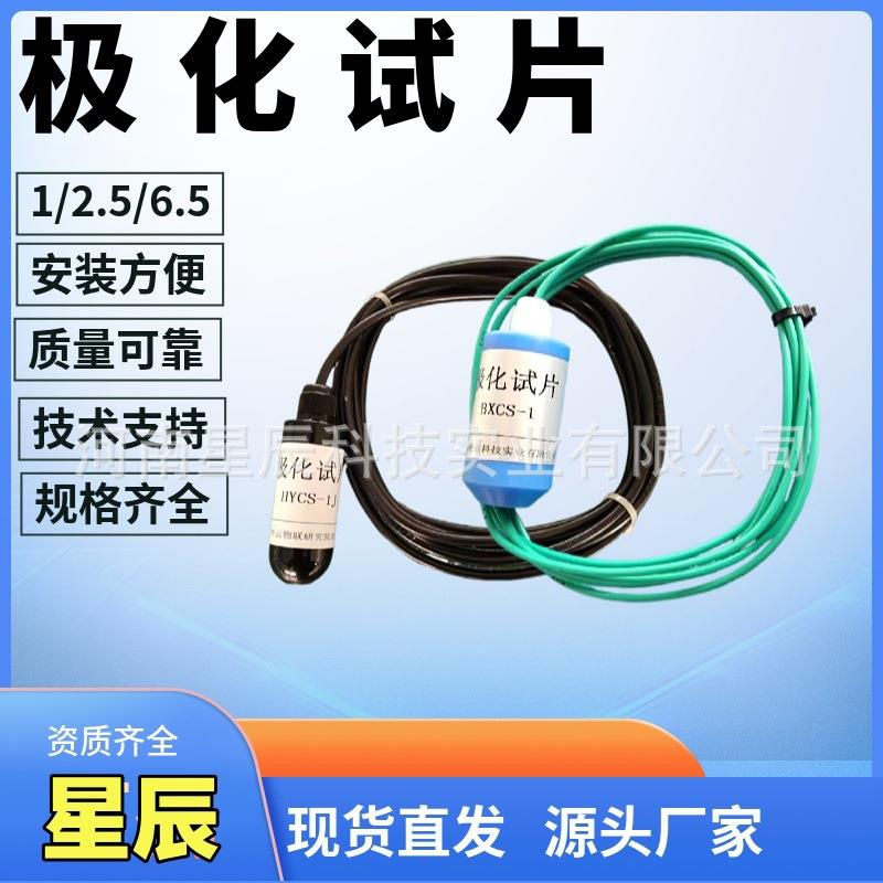 阴极保护测试片Sp1阴极保护检查片sp2极化试片管道自腐蚀试片