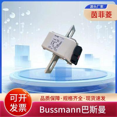 熔断器170M6666 170M6667 170M6668 170M6669 170M6670 170M6671