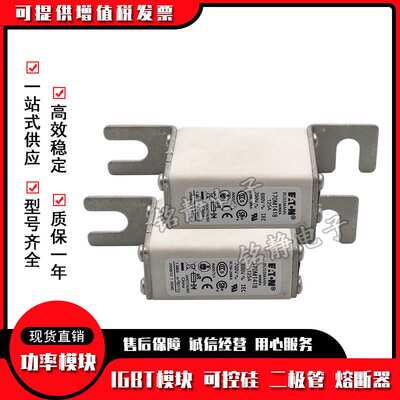 170M1418 170M1419 170M1420 170M1421巴斯曼170M1422熔断器现货