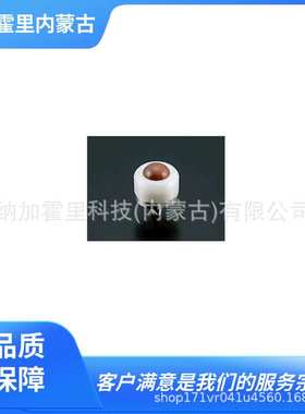 ATEC 爱泰克 无尘室对应万向球滚珠 PVP10BP[D]-SJ[D]S