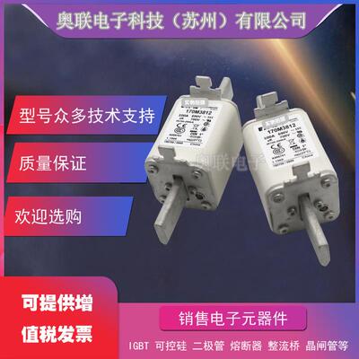 170M3814 170M3815 170M3816 170M3817 170M3818 170M3819 熔断器