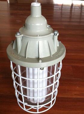 BAD56-n“n”型防爆防腐灯不锈钢 nR BAD-DIP粉尘防爆节能灯