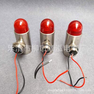 报警器DX-200 不锈钢声光警报灯 G3/4NPT 探头GBS-24VM20*1.5