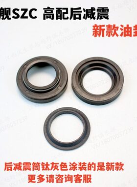 尘封恒舰ZP油封0避震器油封CS5高配后减震P新老款W油封Z3S恒舰0W