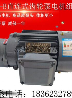 Z6T润滑泵3216B-B直B-B40/J/C插25/CB50电机B/齿轮油泵20/3WBC/B