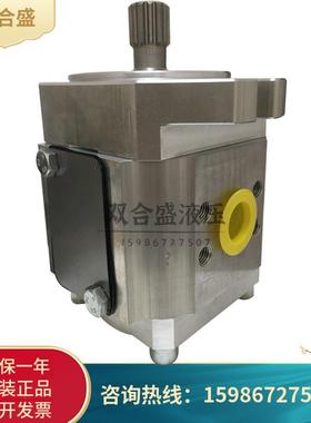 艾可勒齿轮泵EIPC5-80/100RA23-10 EIPC5-80/100RK23-10液压油泵