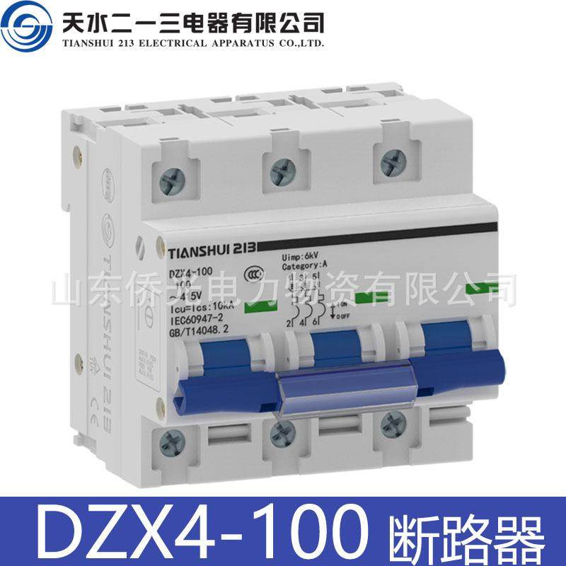 天水二一三小型断路器DZX4-100 2P3PD80AD100A空气开关