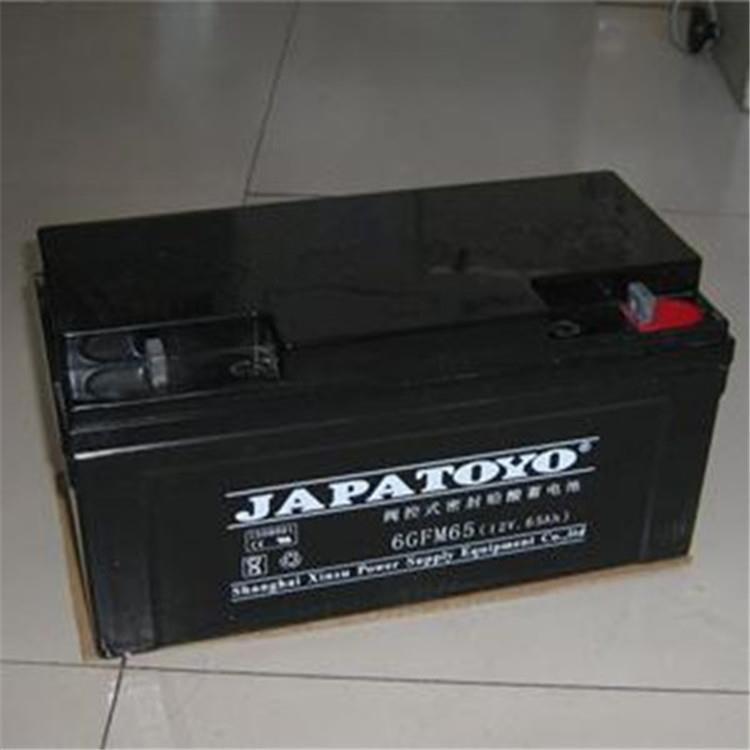 TOYO东洋蓄电池6GFM100 东洋电池12V100AH 质保三年