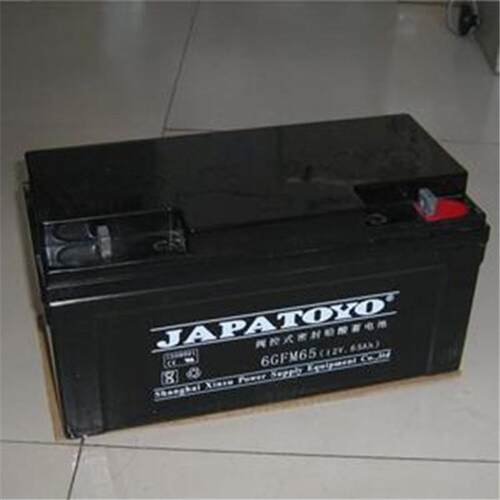 TOYO东洋蓄电池6GFM100 东洋电池12V100AH 质保三年