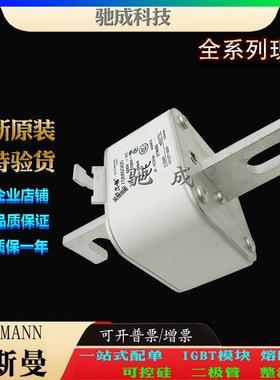 巴斯曼170M6066 170M6067 170M6068 大量现货厂价销售 伊顿熔断器