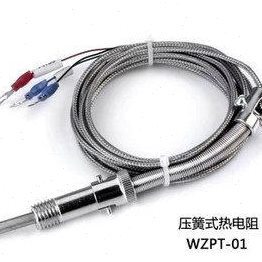 P0探头 温控仪T Wt0Z压簧P1传感器三线0 式 PT10热电阻热电偶-10