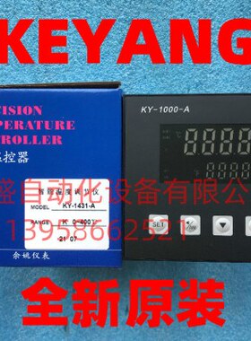 KA Y-KE3110温控表-调节智能K0Y仪10Y-0-温度 3G科洋14N温控器AA1