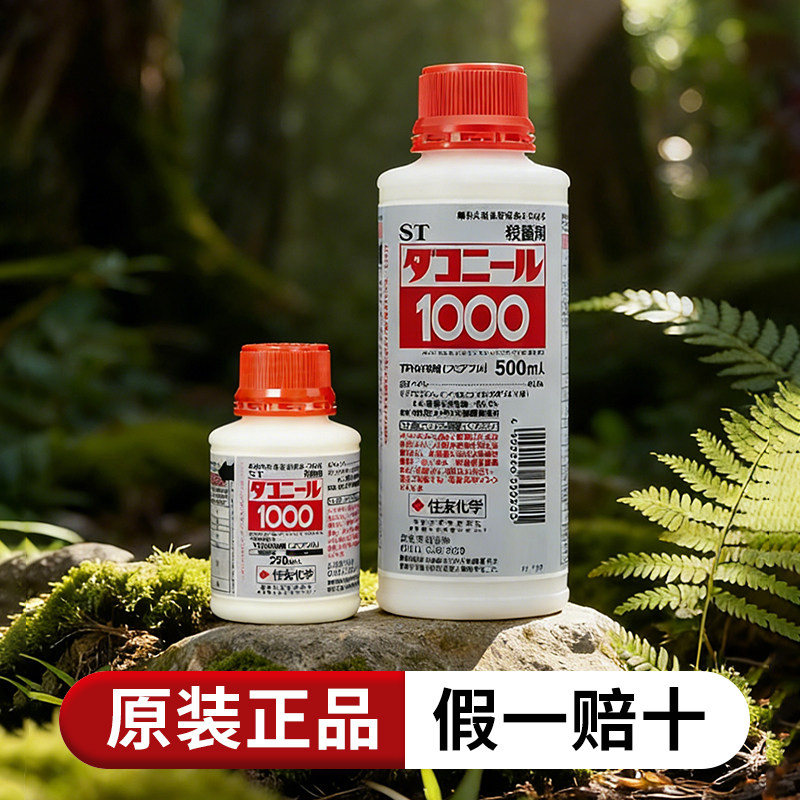 日本达克灵精住友杀菌剂st1000兰花分苗涂抹剂专用tpn原装进口林