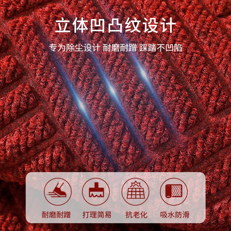 入户门地垫2025新款玄关大门口简约门垫室内红色地毯别墅进门脚垫