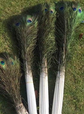 孔雀毛真羽毛家里摆设的装饰品客厅摆件大件插孔雀毛羽毛的花瓶