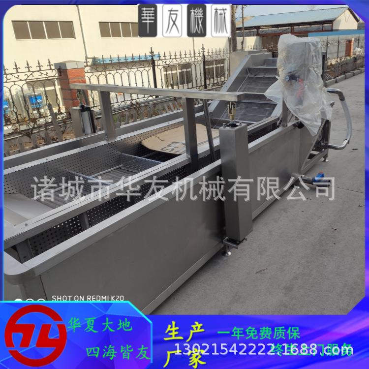 豌豆毛豆速冻挂冰机丸子商用包冰机墨鱼丸工厂用全自动包冰机