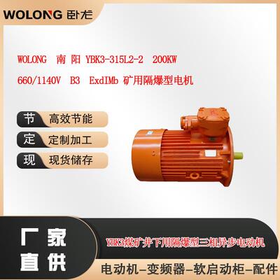 WOLONG南阳YB3-315L2-2200W660/1140VB3ExdIM