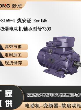 YBX3-315M-4煤安证ExdIMb南阳防爆电动机轴承型号7309