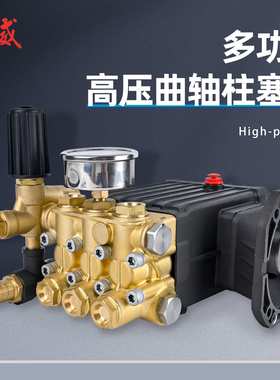 国产高压柱塞泵BEAR FORCE泵BF1515C  BF1520C BF1525C BF1530C