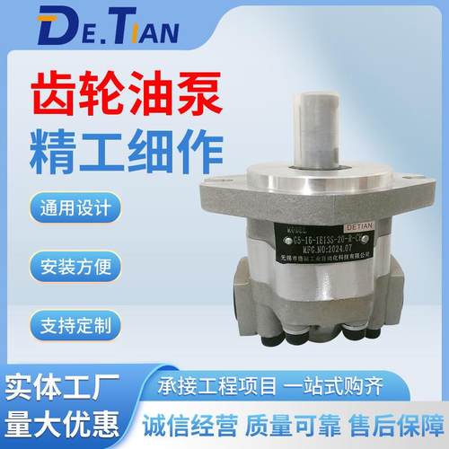 G5-20-1E13S-20R,C5-6-A135S-20-R齿轮油泵