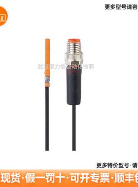 MK5311 IFM易福门带GMR元件的气缸开关 现货