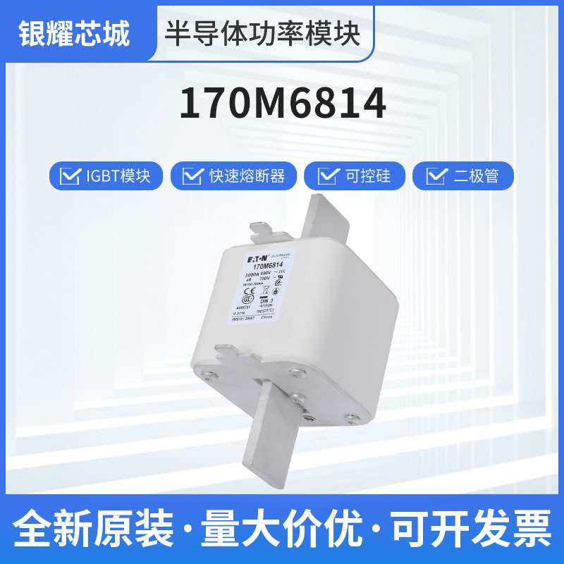 巴斯曼170M6814新能源熔断器