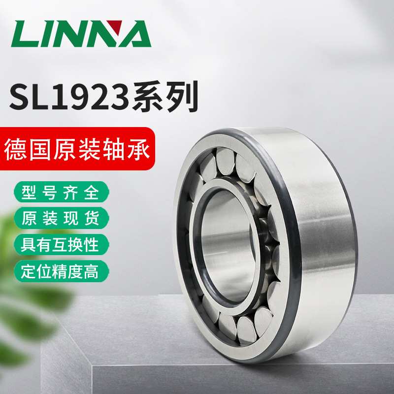 德国.ina圆柱滚子轴承SL192305 192306 192307 192308 192309-XL