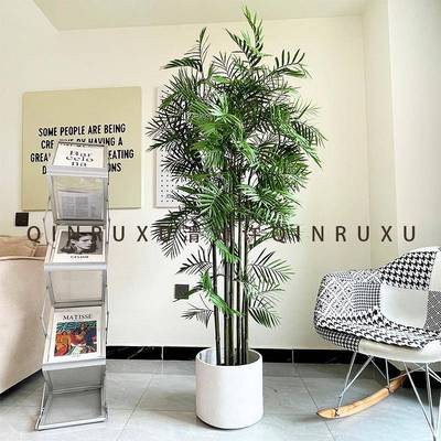 跨境款ins风小葵树盆栽迷你葵树假树盆景室内绿植造景网红景观树