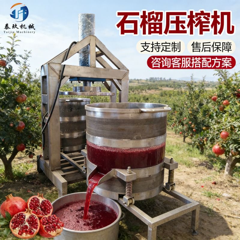 多功能石榴压榨设备 可做石榴汁果酒果醋 生产线 商用果汁压榨机