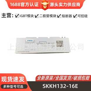 SKKH132 20E SKKH162 快恢复二极管模块光伏 16E