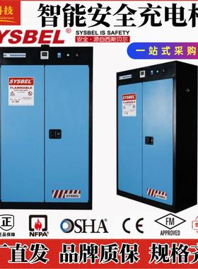 西斯贝尔工业实验室WA810454智能安全蓄电池充电危险品储存安全柜