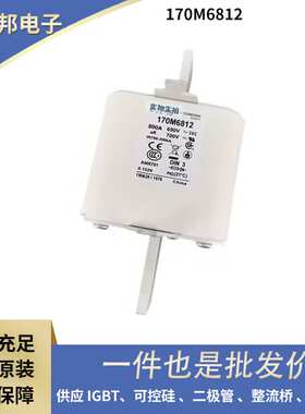 巴斯曼快速熔断器170M6549 170M6812 170M4410 170M5460原盒