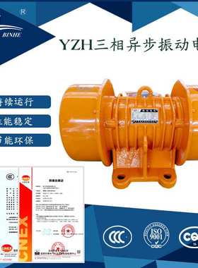 YZH-16-6系列振动电机激振力16KN常用震动电机